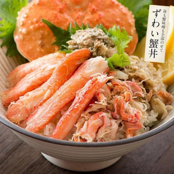 越前産ズワイガニ 甲羅盛り 中サイズ×1個（甲羅横幅 約11cm）越前産 ずわい蟹05