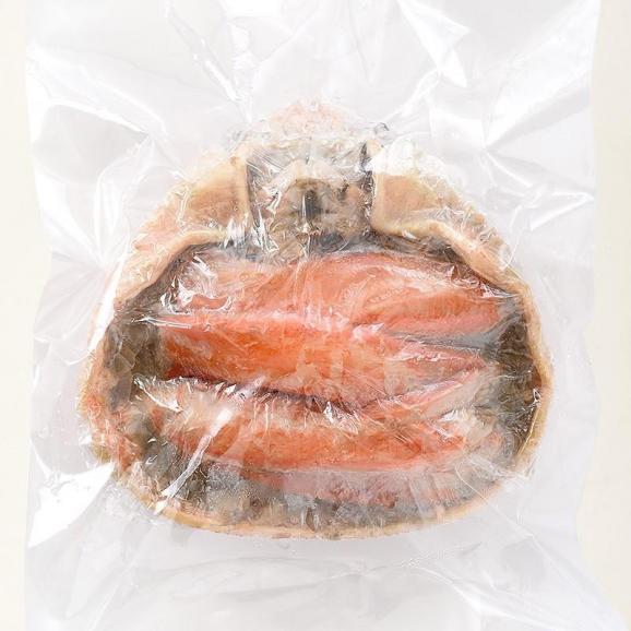 越前産ズワイガニ 甲羅盛り 中サイズ×1個（甲羅横幅 約11cm）越前産 ずわい蟹06