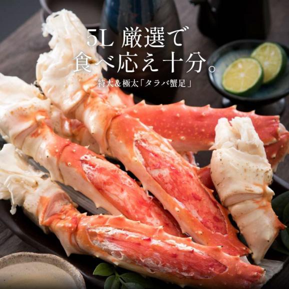 タラバガニ たらばがに タラバ蟹 たらば蟹 ボイル 脚 足 特大&極太5Lサイズ02