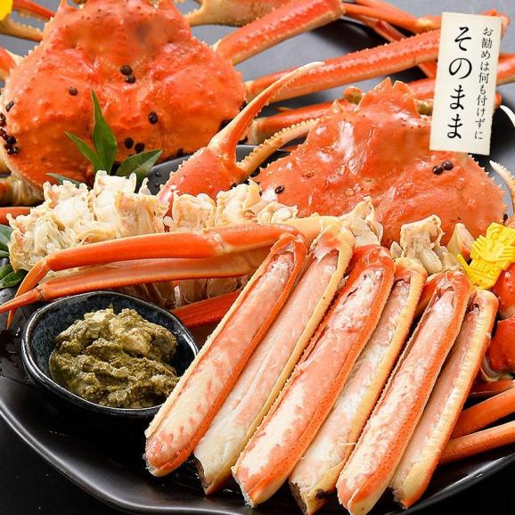 越前蟹 越前ガニ 越前かに タグ付き 福井 浜茹でし即日出荷で産地直送！05