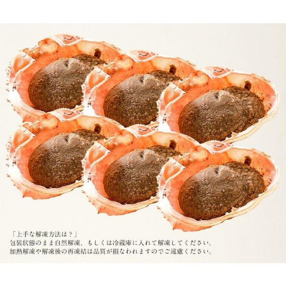 かにみそ 蟹味噌 カニ味噌 かに味噌 甲羅焼きもできる蟹身入り蟹味噌甲羅盛り06