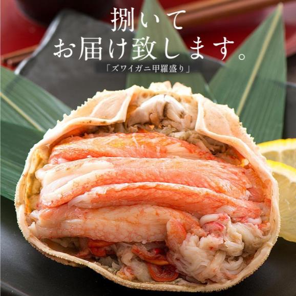 ズワイガニ 甲羅盛り 中サイズ×3個(甲羅横幅 約11cm)日本海産 ずわい蟹 海鮮 ずわい甲羅盛り ズワイ ずわい 高級グルメ 食品 食べ物 お中元 御中元02