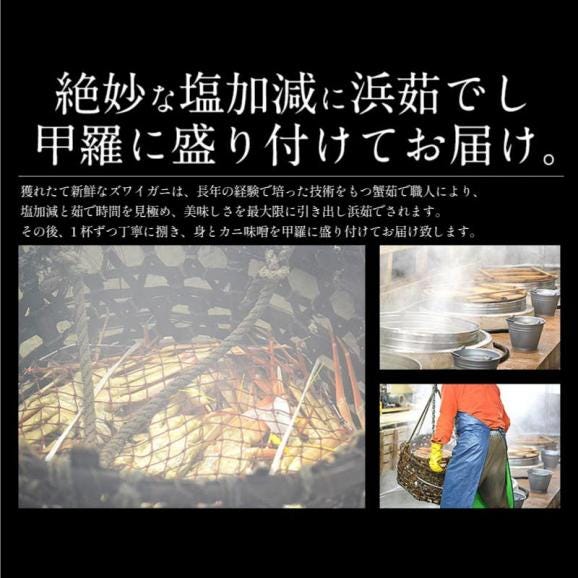 ズワイガニ 甲羅盛り 中サイズ×3個(甲羅横幅 約11cm)日本海産 ずわい蟹 海鮮 ずわい甲羅盛り ズワイ ずわい 高級グルメ 食品 食べ物 お中元 御中元04