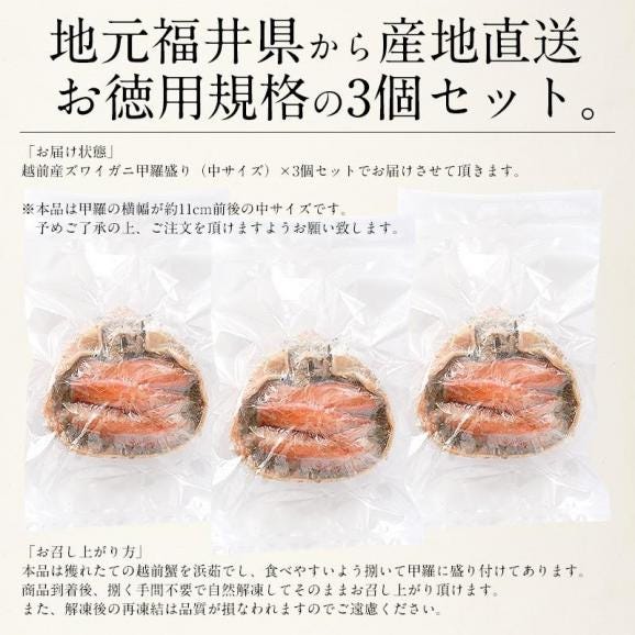 かに カニ 蟹 越前産ズワイガニ 甲羅盛り 中サイズ×3個（甲羅横幅 約11cm）越前産 ずわい蟹 ずわい甲羅盛り05