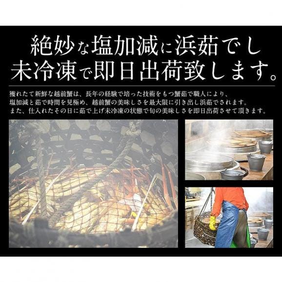 かに カニ 蟹 越前蟹 越前ガニ 越前かに 500g前後×1尾 中サイズ（着日指定不可） 04