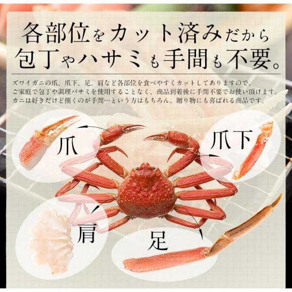 かに カニ 蟹 ズワイガニ 600g（総重量750g）& 黒毛和牛 肩ロース 500g セット ギフト 贈り物 プレゼント 04