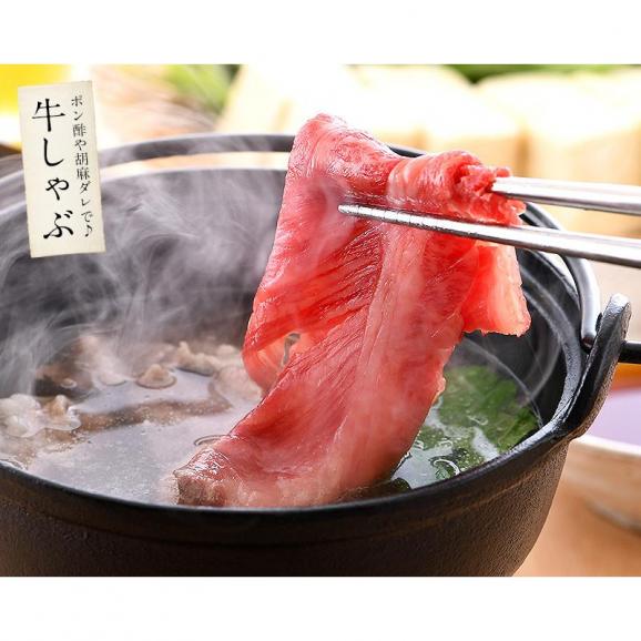 かに カニ 蟹 ズワイガニ 600g（総重量750g）& 黒毛和牛 肩ロース 500g セット ギフト 贈り物 プレゼント 05