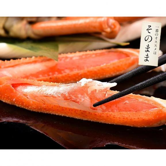かに カニ 蟹 ズワイガニ 足 1kg（約3?4肩入り） ずわいがに ずわい蟹 ズワイ蟹05