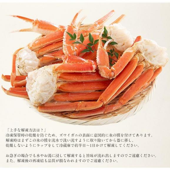 かに カニ 蟹 ズワイガニ 足 1kg（約3?4肩入り） ずわいがに ずわい蟹 ズワイ蟹06