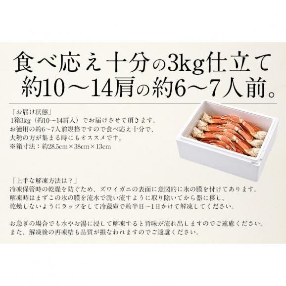 かに カニ 蟹 ズワイガニ 足 3kg（約10?14肩入り）ズワイ蟹 ずわいがに ずわい蟹 同梱不可05