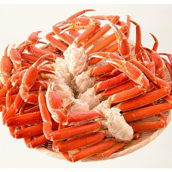 かに カニ 蟹 ズワイガニ 足 3kg（約10?14肩入り）ズワイ蟹 ずわいがに ずわい蟹 同梱不可06
