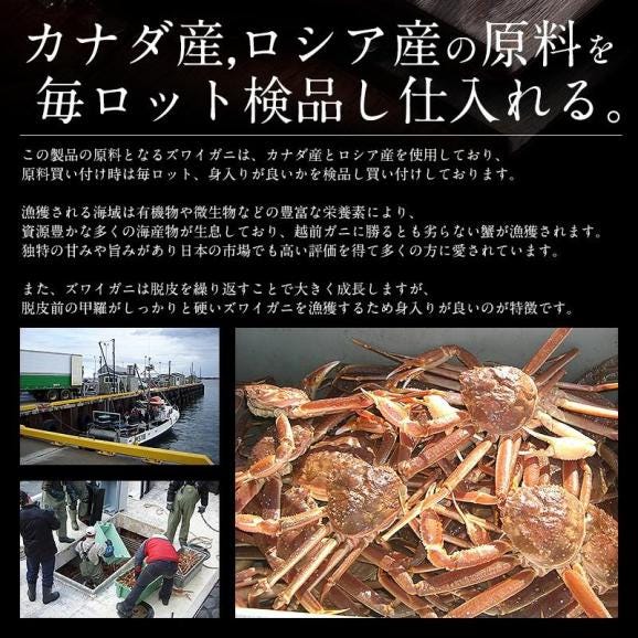 かに カニ 蟹 ズワイガニ ずわいがに ずわい蟹 カニのプロが仕入れる 蟹足03