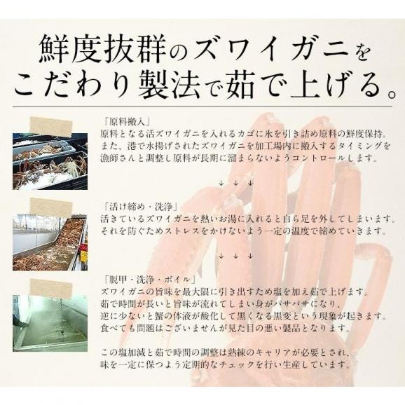 かに カニ 蟹 ズワイガニ ずわいがに ずわい蟹 カニのプロが仕入れる 蟹足04
