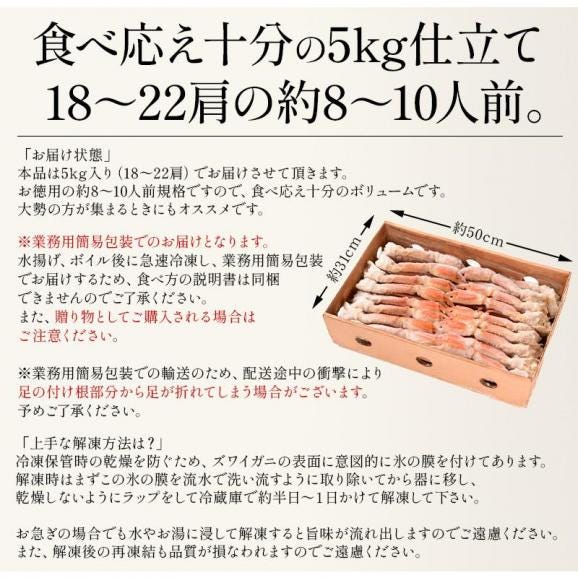 かに カニ 蟹 ズワイガニ ずわいがに ずわい蟹 カニのプロが仕入れる 蟹足06