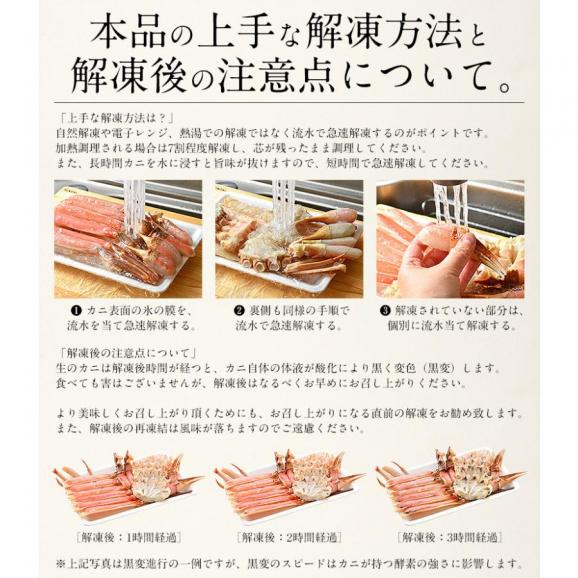 かに カニ 蟹 ズワイガニ 生 カット済み 3kg（600g×5箱/総重量3.75kg）ずわい 鍋 06
