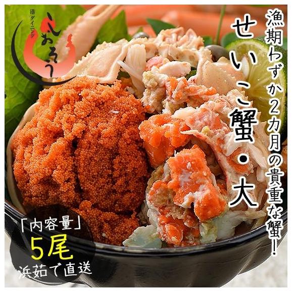 セイコガニ せいこがに せいこ蟹 大サイズ×5尾 福井 越前松葉 （着日指定不可）02