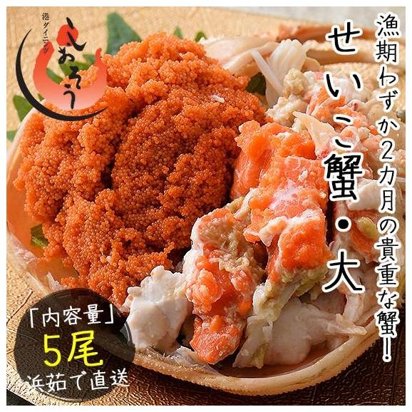 セイコガニ せいこがに せいこ蟹 大サイズ×5尾 福井 越前松葉 （着日指定不可）03