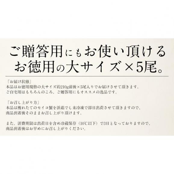 セイコガニ せいこがに せいこ蟹 大サイズ×5尾 福井 越前松葉 （着日指定不可）05