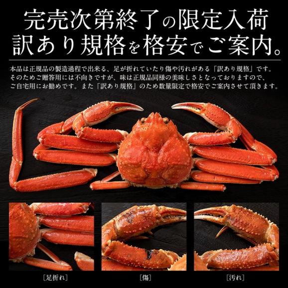 かに カニ 蟹 ズワイガニ 訳あり 姿 3kg （6?8尾入り） カナダ産 ボイル ずわいがに ズワイ蟹 ずわい蟹 同梱不可03