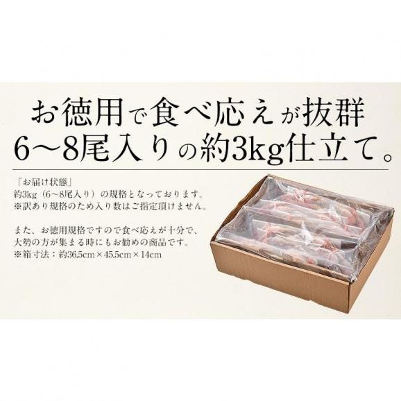 かに カニ 蟹 ズワイガニ 訳あり 姿 3kg （6?8尾入り） カナダ産 ボイル ずわいがに ズワイ蟹 ずわい蟹 同梱不可05