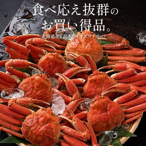 北海道産 訳あり ズワイガニ 姿 3kg （7?9尾入り） オオズワイガニ かに カニ 蟹 ズワイガニ ボイル ずわいがに ズワイ蟹 同梱不可02