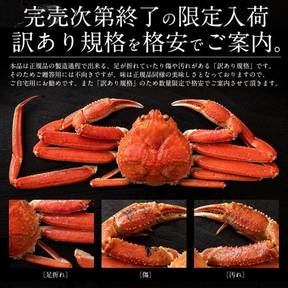 北海道産 訳あり ズワイガニ 姿 3kg （7?9尾入り） オオズワイガニ かに カニ 蟹 ズワイガニ ボイル ずわいがに ズワイ蟹 同梱不可03