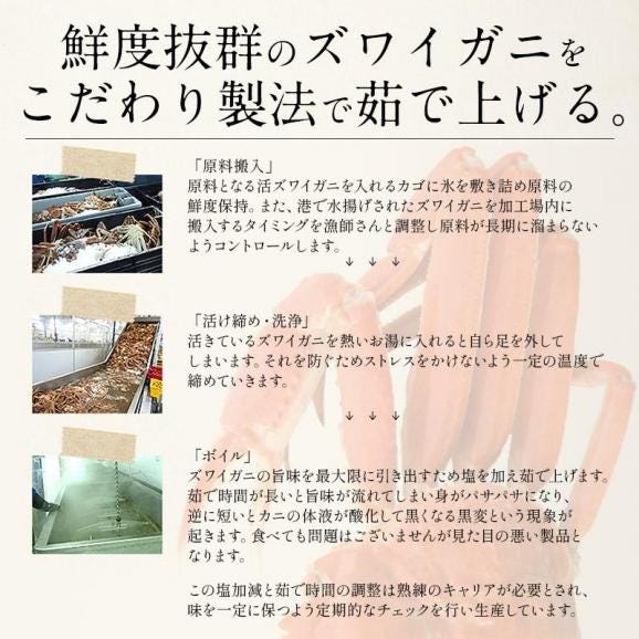 北海道産 訳あり ズワイガニ 姿 3kg （7?9尾入り） オオズワイガニ かに カニ 蟹 ズワイガニ ボイル ずわいがに ズワイ蟹 同梱不可04