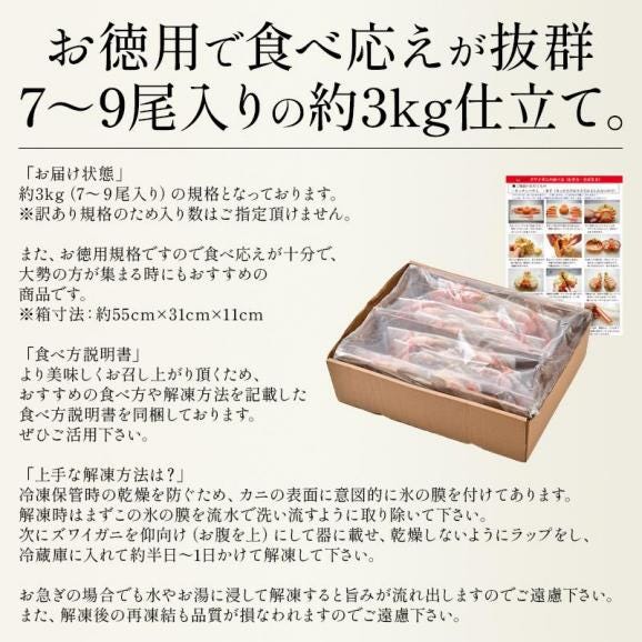 北海道産 訳あり ズワイガニ 姿 3kg （7?9尾入り） オオズワイガニ かに カニ 蟹 ズワイガニ ボイル ずわいがに ズワイ蟹 同梱不可06