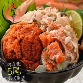 せいこがに セイコガニ せいこ蟹 小サイズ×5尾 福井 越前松葉 （着日指定不可） かに 蟹 カニ 海鮮
