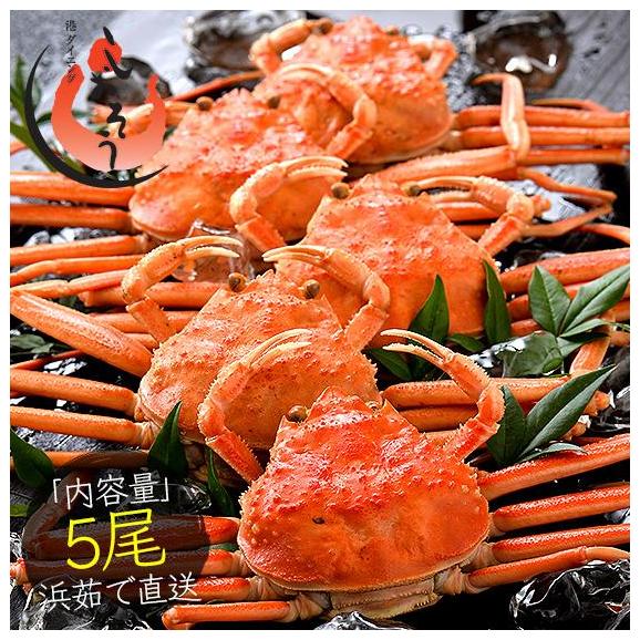 せいこがに セイコガニ せいこ蟹 小サイズ×5尾 福井 越前松葉 （着日指定不可） かに 蟹 カニ 海鮮02