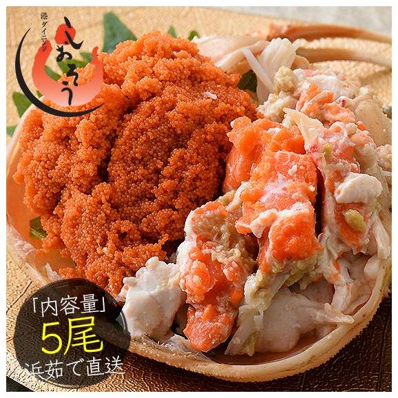 せいこがに セイコガニ せいこ蟹 小サイズ×5尾 福井 越前松葉 （着日指定不可） かに 蟹 カニ 海鮮03