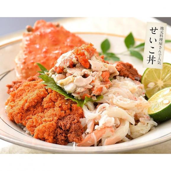 せいこがに セイコガニ せいこ蟹 小サイズ×5尾 福井 越前松葉 （着日指定不可） かに 蟹 カニ 海鮮05