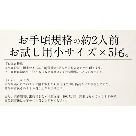 せいこがに セイコガニ せいこ蟹 小サイズ×5尾 福井 越前松葉 （着日指定不可） かに 蟹 カニ 海鮮06