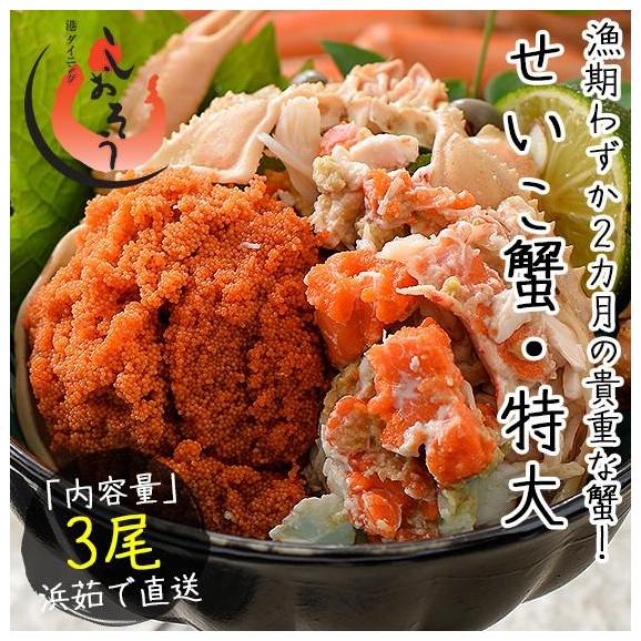 セイコガニ せいこがに せいこ蟹 特大サイズ×3尾 福井 越前松葉 （着日指定不可）02