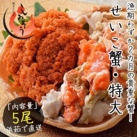 セイコガニ せいこがに せいこ蟹 特大サイズ×5尾 福井 越前松葉 （着日指定不可）