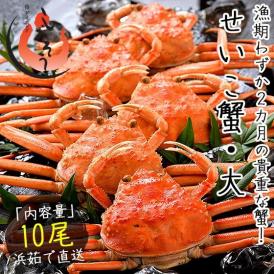 セイコガニ せいこがに せいこ蟹 大サイズ×10尾 福井 越前松葉 （着日指定不可）