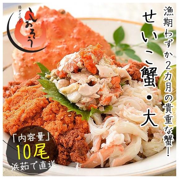 セイコガニ せいこがに せいこ蟹 大サイズ×10尾 福井 越前松葉 （着日指定不可）02