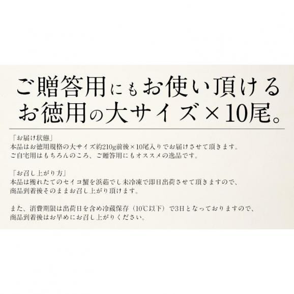 セイコガニ せいこがに せいこ蟹 大サイズ×10尾 福井 越前松葉 （着日指定不可）05