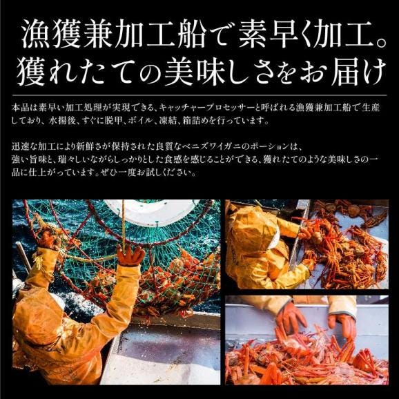 かに カニ 蟹 紅ズワイガニ ボイル済み ポーション 13本×4パック 紅ずわい 贈り物 03