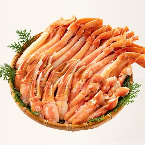 かに カニ 蟹 ズワイガニ ポーション 1kg （NET800g） ボイル しゃぶしゃぶ ずわいがに ギフト 贈り物 プレゼント 06