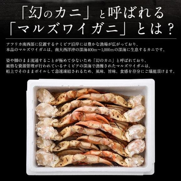 かに カニ 蟹 マルズワイガニ まるずわいがに 足 脚 3kg（約12?18肩入り）マルズワイ まるずわい03