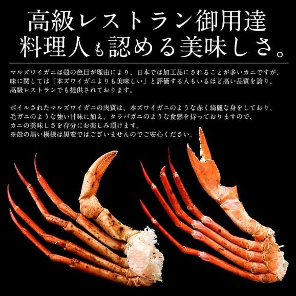 かに カニ 蟹 マルズワイガニ まるずわいがに 足 脚 3kg（約12?18肩入り）マルズワイ まるずわい04