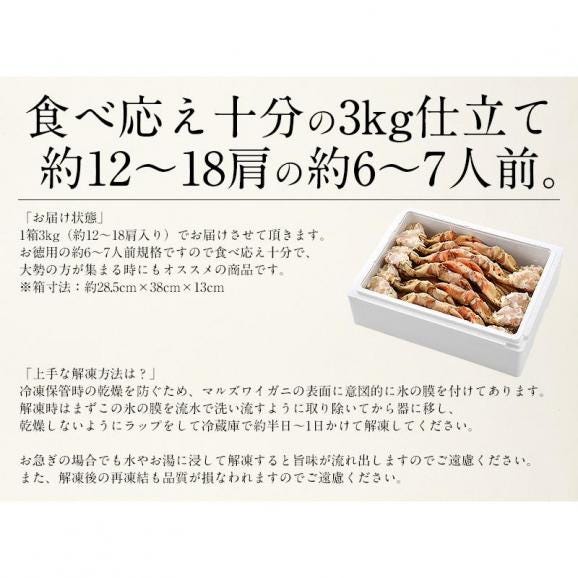 かに カニ 蟹 マルズワイガニ まるずわいがに 足 脚 3kg（約12?18肩入り）マルズワイ まるずわい06