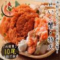 セイコガニ せいこがに せいこ蟹 特大サイズ×10尾 福井 越前松葉 （着日指定不可）