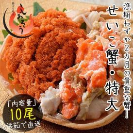 セイコガニ せいこがに せいこ蟹 特大サイズ×10尾 福井 越前松葉 （着日指定不可）