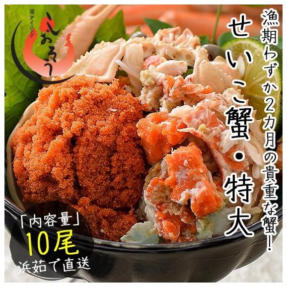 セイコガニ せいこがに せいこ蟹 特大サイズ×10尾 福井 越前松葉 （着日指定不可）02