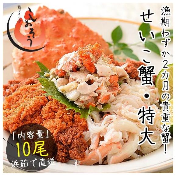 セイコガニ せいこがに せいこ蟹 特大サイズ×10尾 福井 越前松葉 （着日指定不可）03
