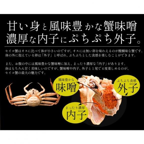 セイコガニ 甲羅盛り 大サイズ 120g前後×3個（甲羅横幅 約8cm） 越前松葉 せいこ蟹 蟹 カニ かに 越前がに カニ甲羅盛り04