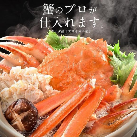 かに カニ 蟹 ズワイガニ 姿 3kg 600g前後×5尾 ずわいがに ズワイ蟹 ずわい蟹 同梱不可 02
