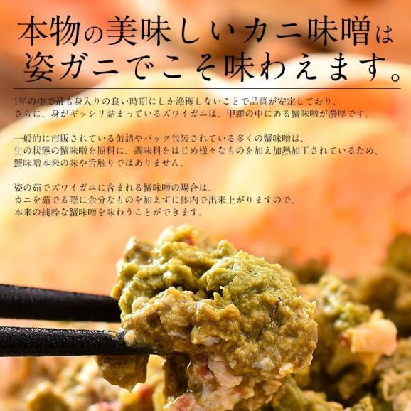かに カニ 蟹 ズワイガニ 姿 3kg 600g前後×5尾 ずわいがに ズワイ蟹 ずわい蟹 同梱不可 04